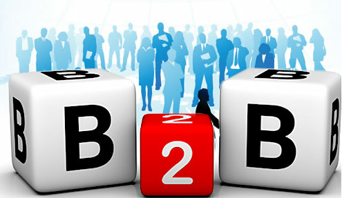 <b>ʲôB2BICRM͑ϵy</b>
